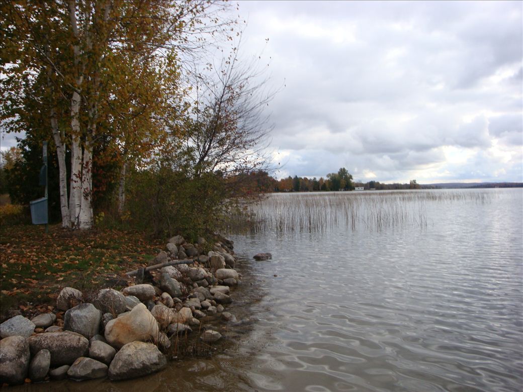 dsc08213.jpg dsc08213.jpg