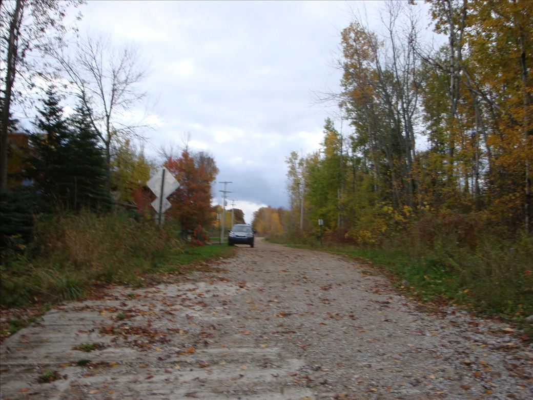 dsc08273.jpg dsc08273.jpg