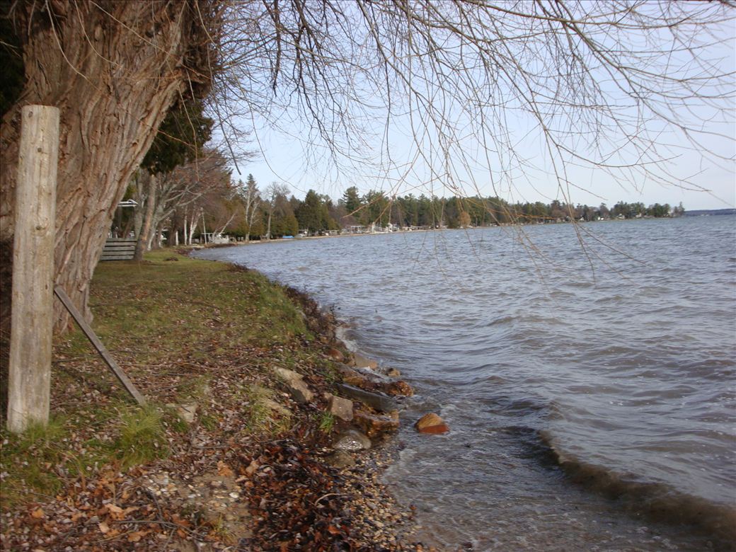 dsc08368.jpg dsc08368.jpg