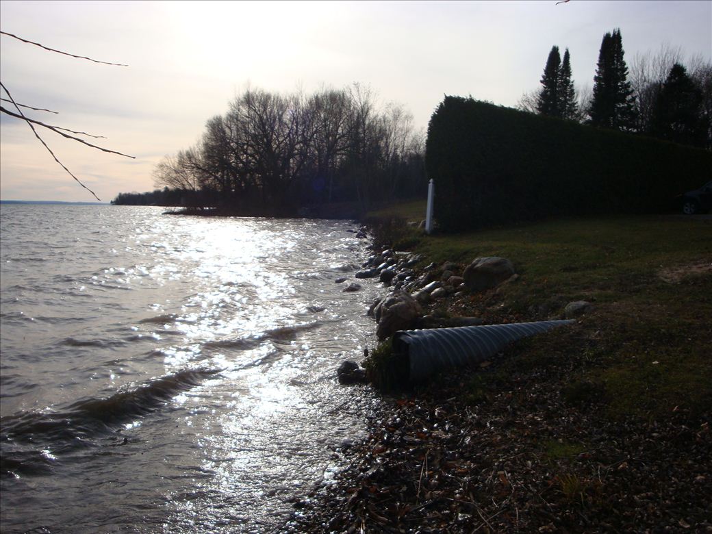 dsc08369.jpg dsc08369.jpg