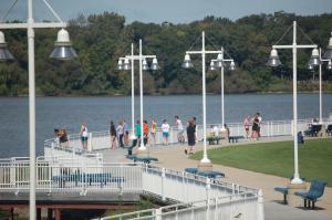 dsc_0491.jpg dsc_0491.jpg