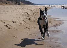 dscn3039.jpg dscn3039.jpg