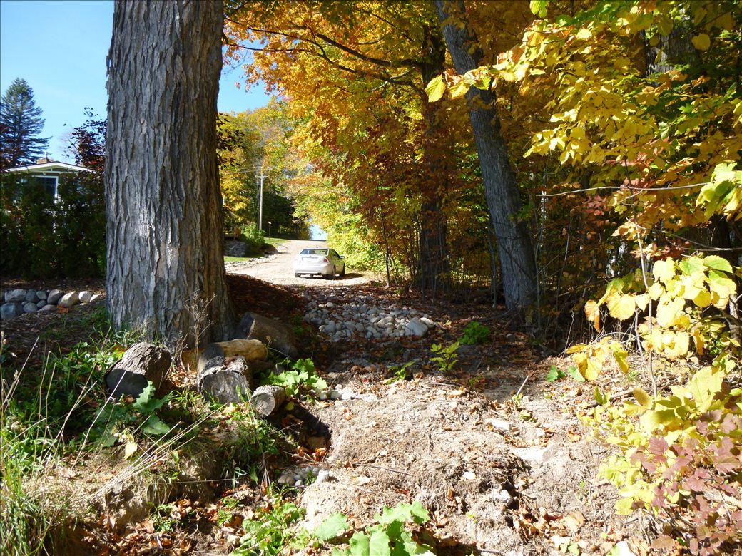 fid15_5jpeg.jpg fid15_5jpeg.jpg