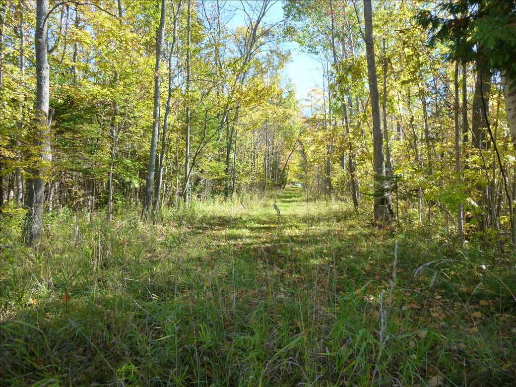 fid21_2.jpg fid21_2.jpg