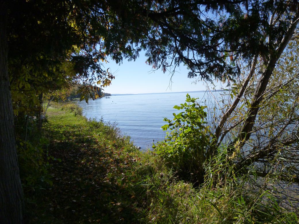 Lawless Rd Lawless Rd