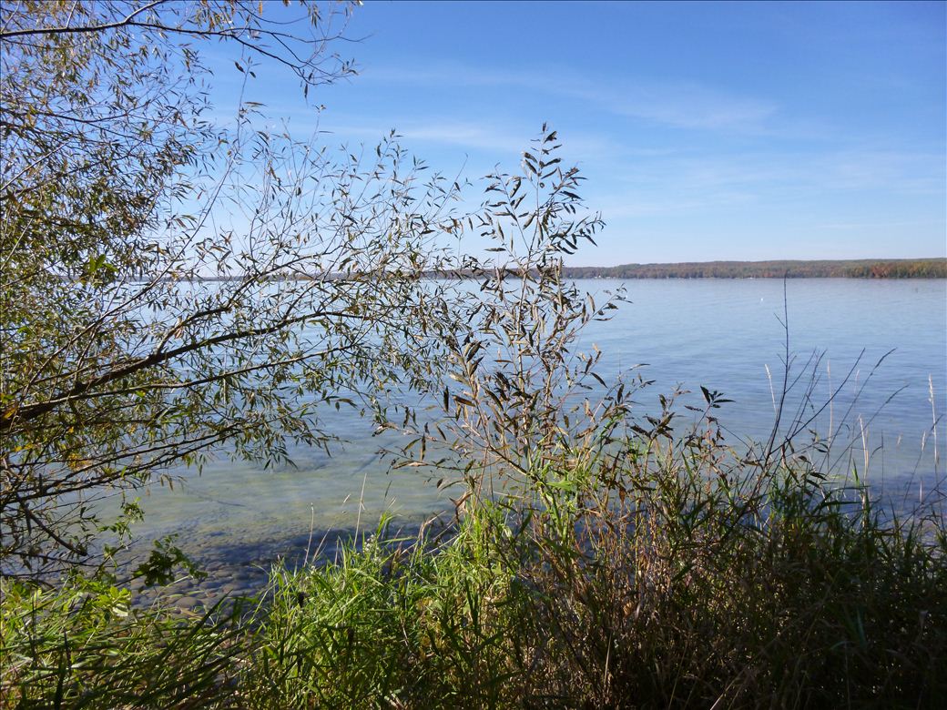 fid21_5.jpg fid21_5.jpg