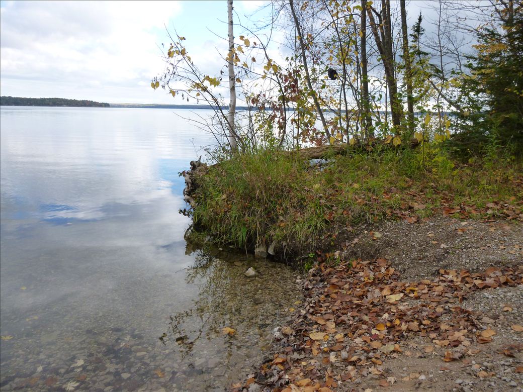 fid58_ellinger_rd_3.jpg fid58_ellinger_rd_3.jpg