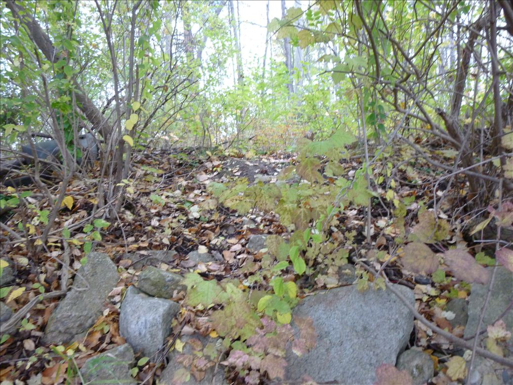 fid59_hamilton_rd_3.jpg fid59_hamilton_rd_3.jpg