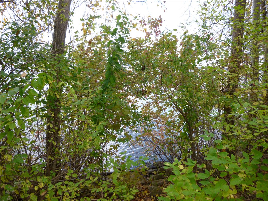 fid59_hamilton_rd_5.jpg fid59_hamilton_rd_5.jpg