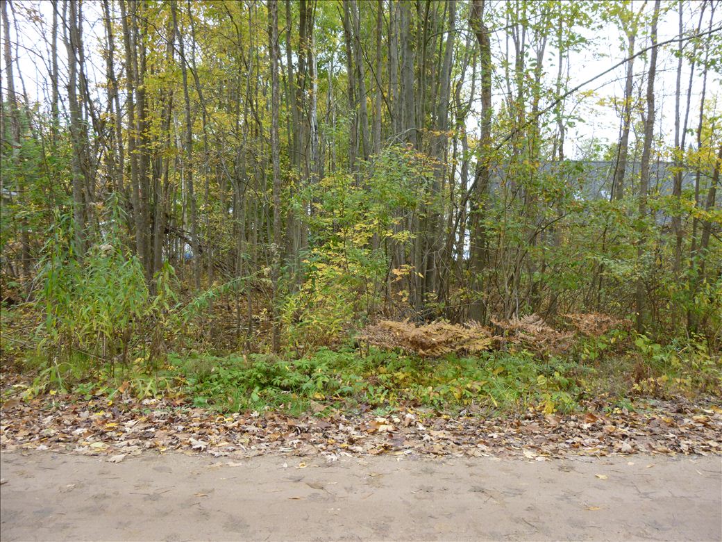 fid76_hiawatha_ave.jpg fid76_hiawatha_ave.jpg