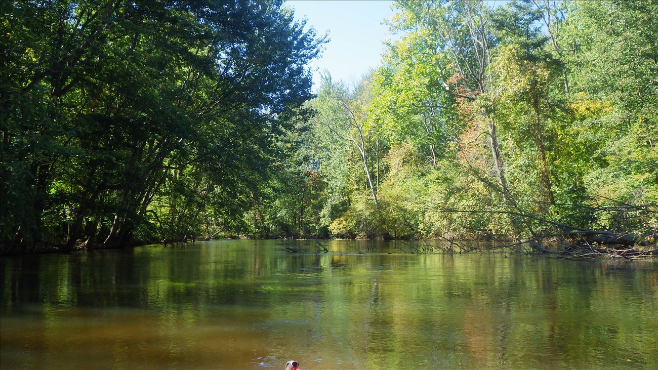 float through undeveloped floodplain forest corridor from Coloma to Bundy Road float through undeveloped floodplain forest corridor from Coloma to Bundy Road