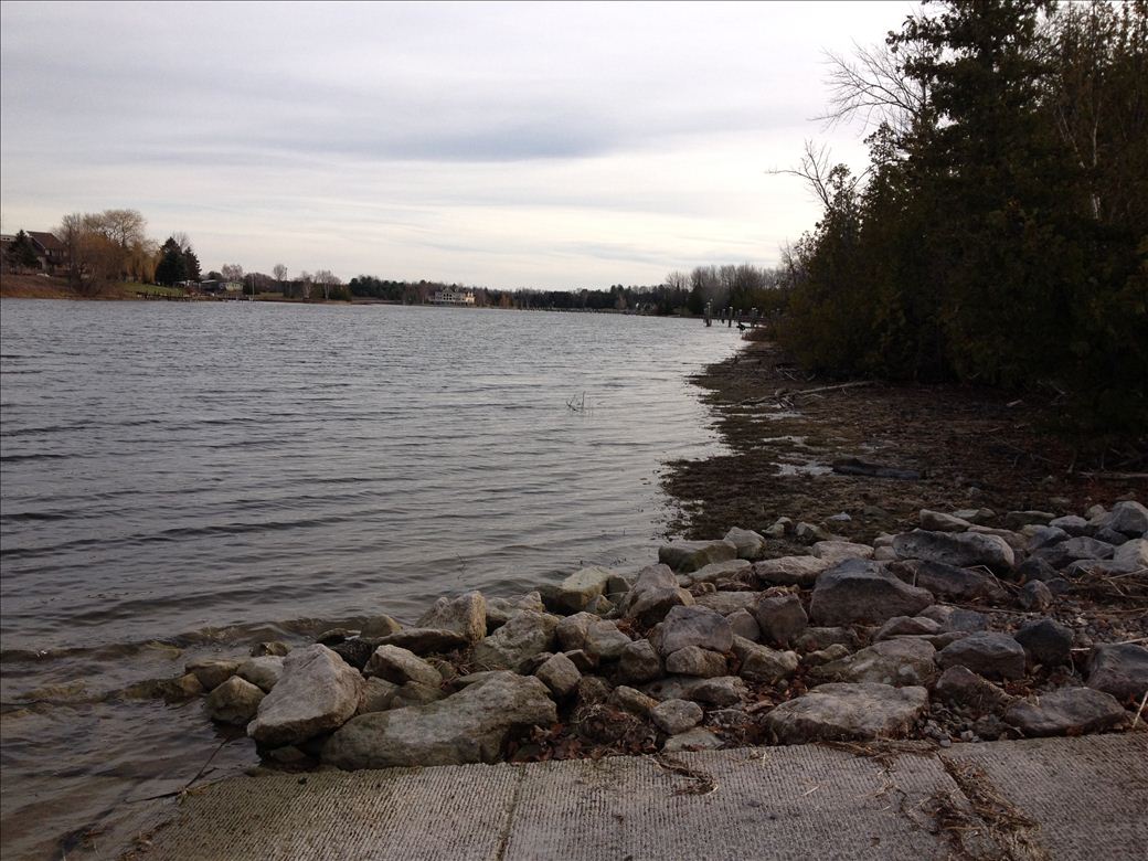 forks_dnr_5.jpg forks_dnr_5.jpg