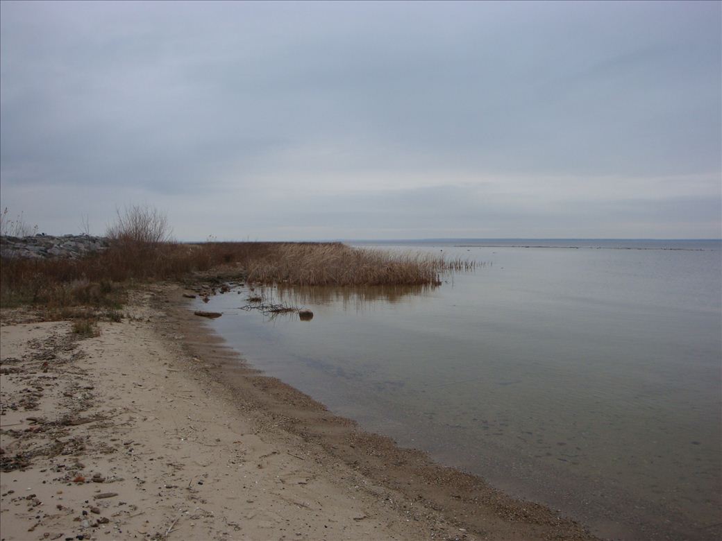 gorden_turner_park_3.jpg gorden_turner_park_3.jpg