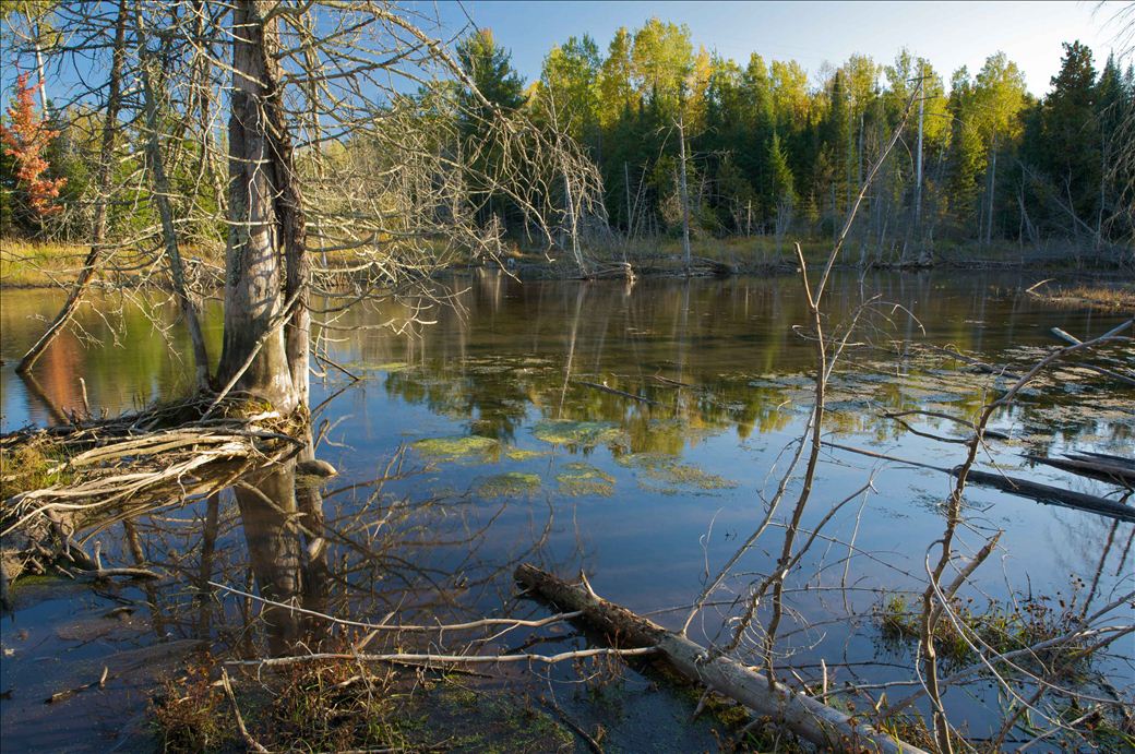 hailand_pond.jpg hailand_pond.jpg