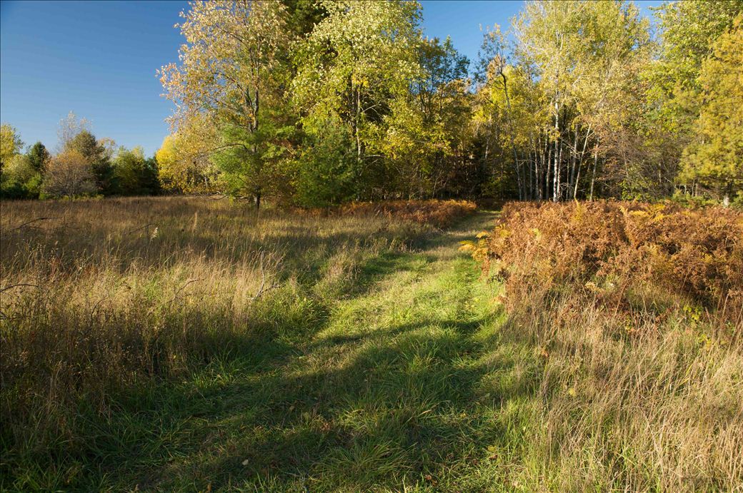 hailand_trail.jpg hailand_trail.jpg