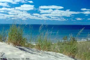 hoffmaster_1.jpg hoffmaster_1.jpg