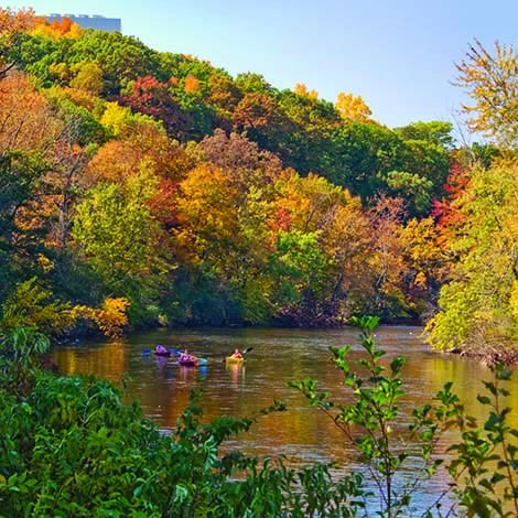 huron2.jpg huron2.jpg