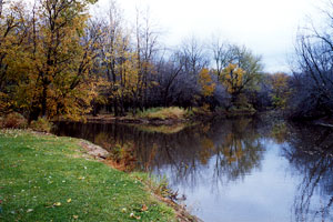 image6.jpg image6.jpg