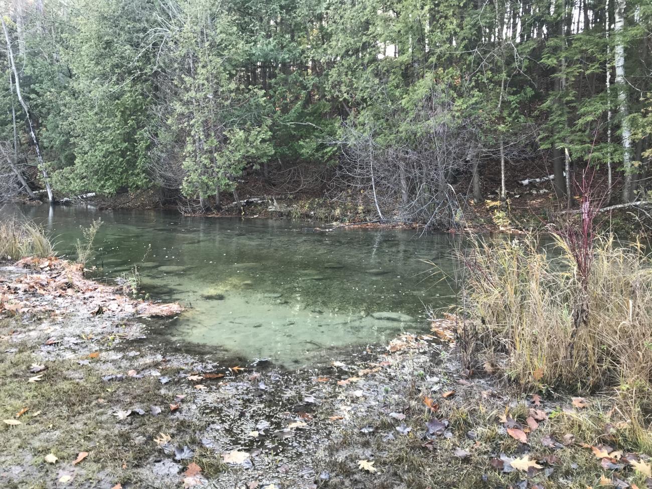 Melrose Twp Park Access Site Melrose Twp Park Access Site