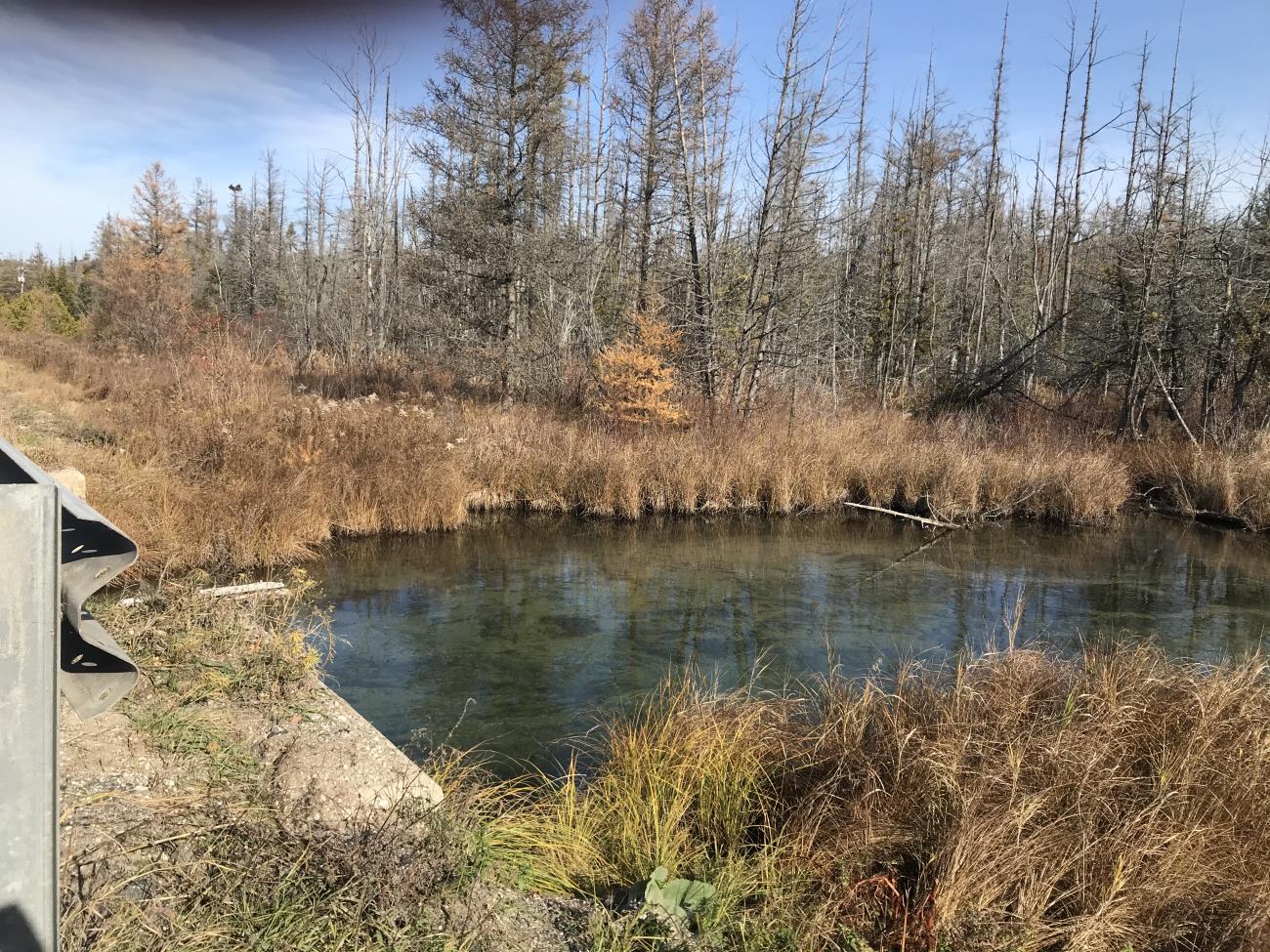 img-4833.jpg img-4833.jpg