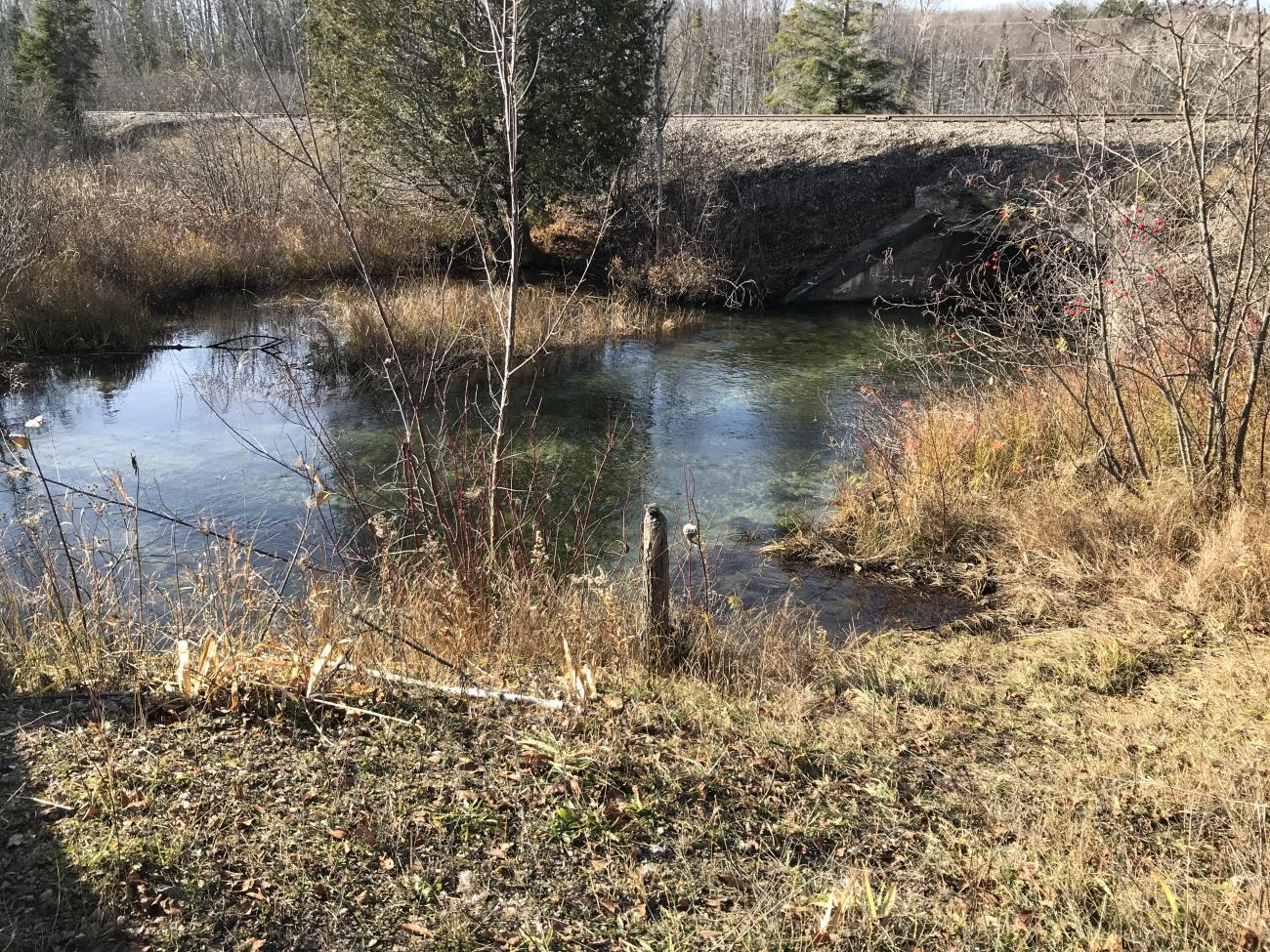 N. River Road River Access N. River Road River Access