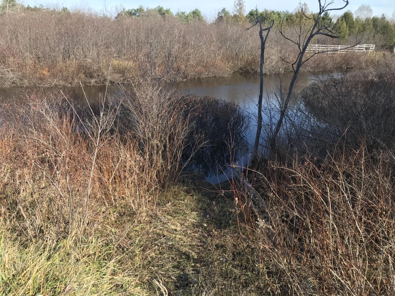 img-4872.jpg img-4872.jpg