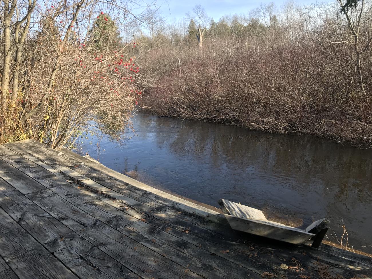 img-4880.jpg img-4880.jpg