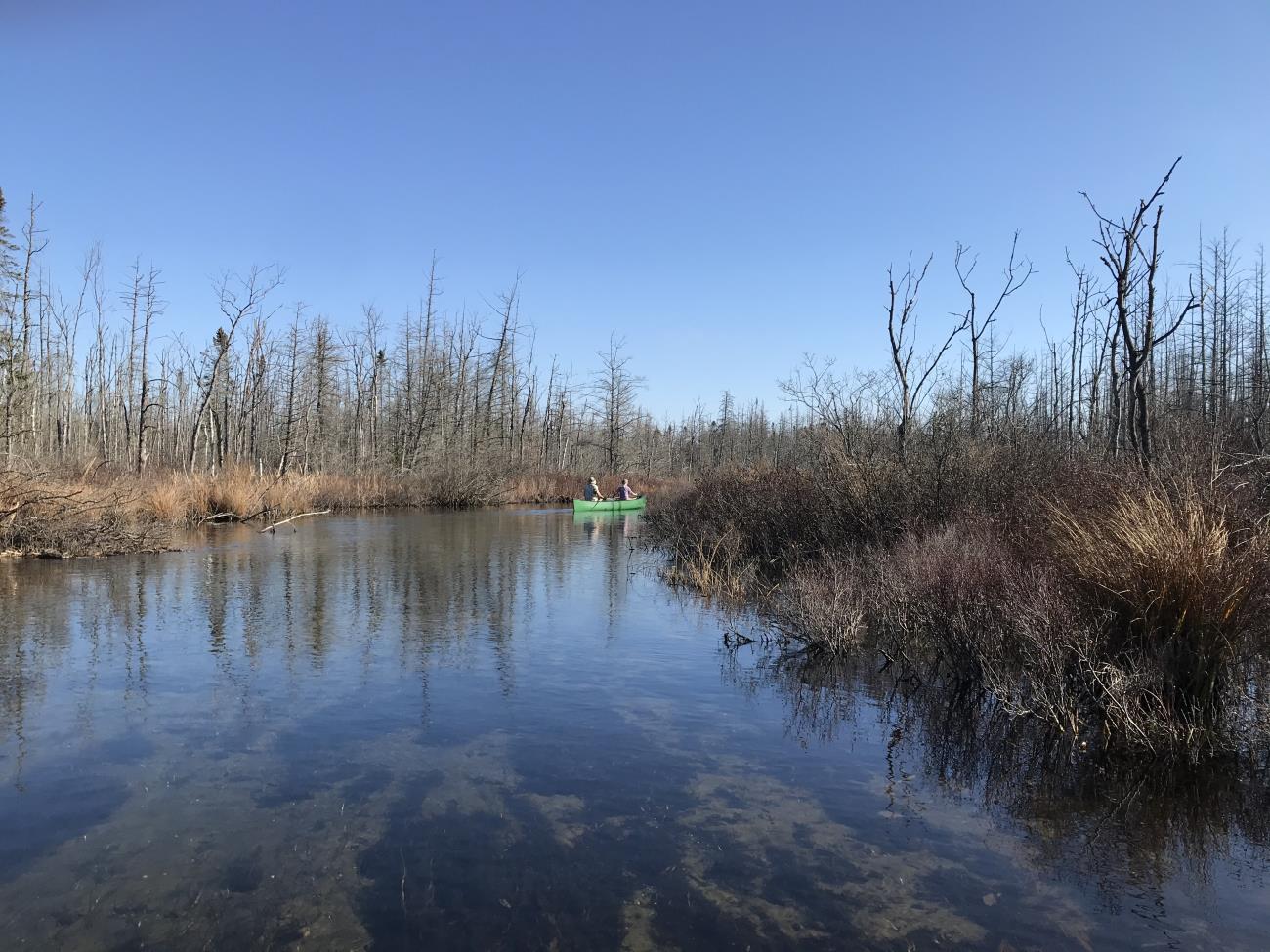 Bear River Bear River