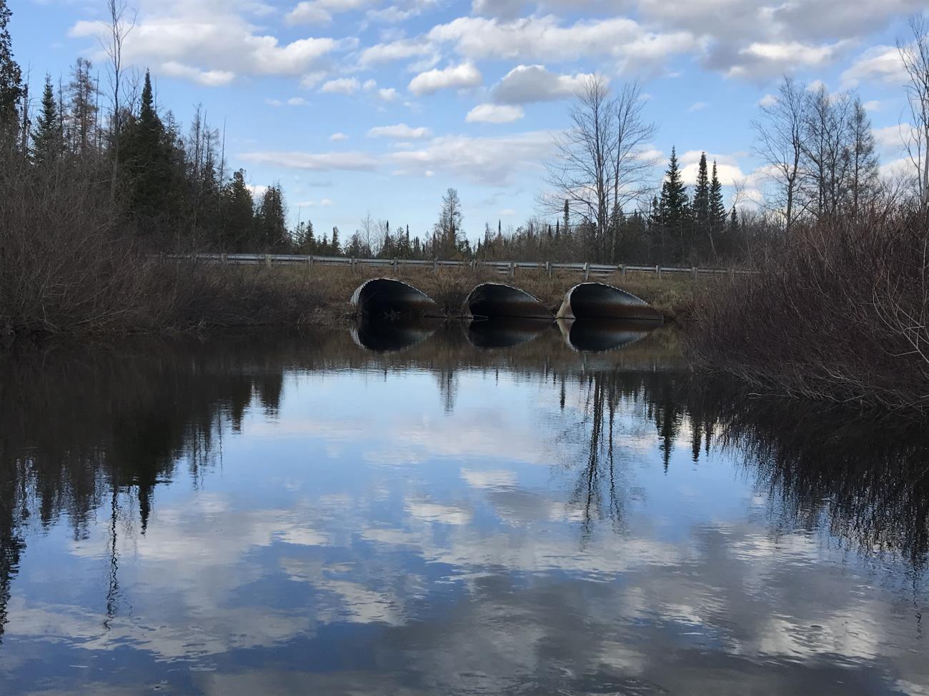 Evergreen Trail Evergreen Trail