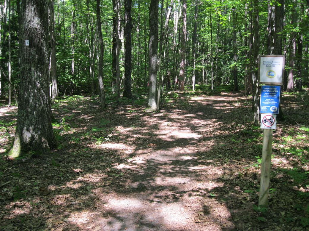 img_0394.jpg img_0394.jpg