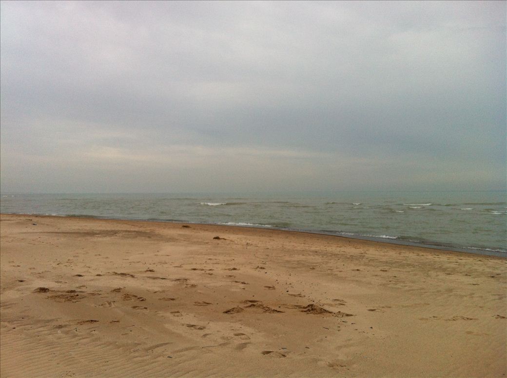 img_1336.jpg img_1336.jpg