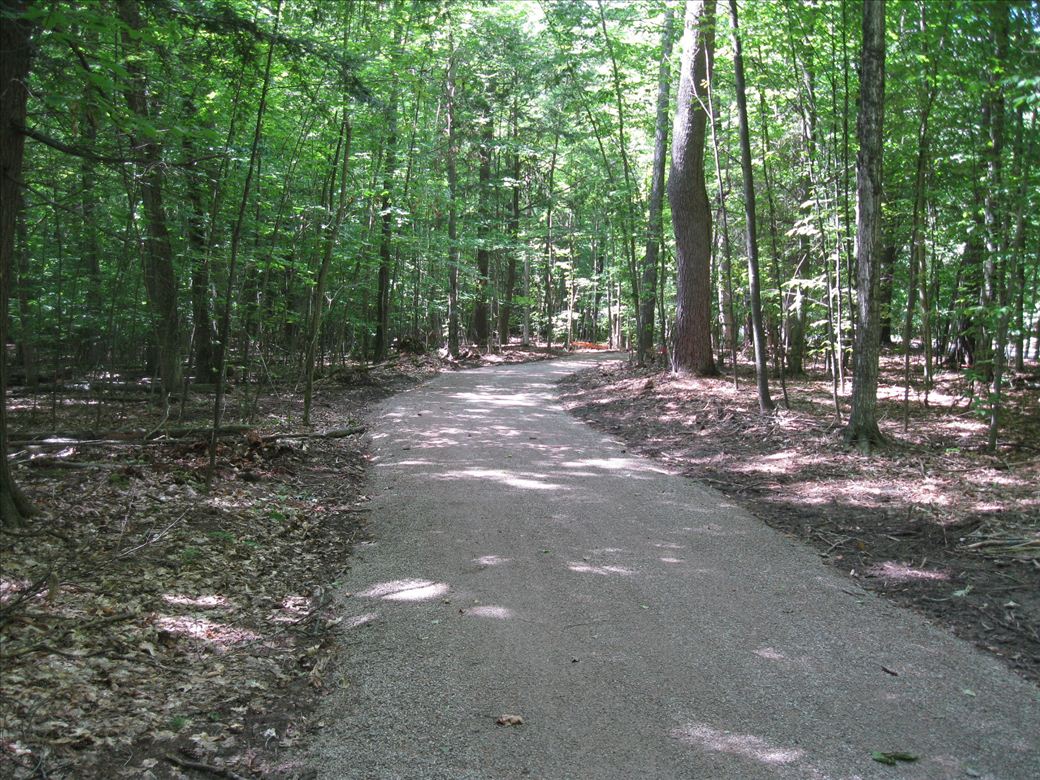 img_1385.jpg img_1385.jpg