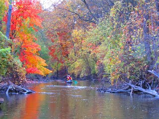 img_3117.jpg img_3117.jpg