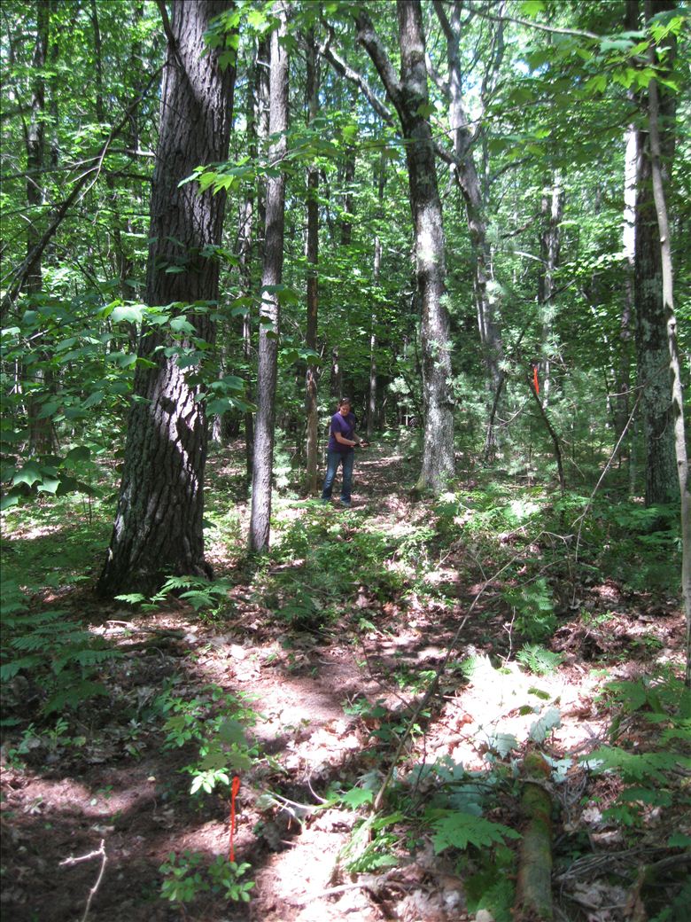 img_7830.jpg img_7830.jpg