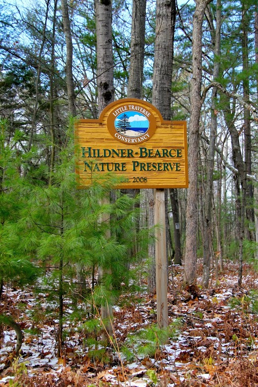 img_8351.jpg img_8351.jpg