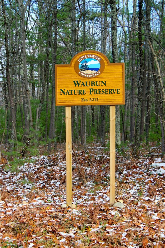 img_8352.jpg img_8352.jpg