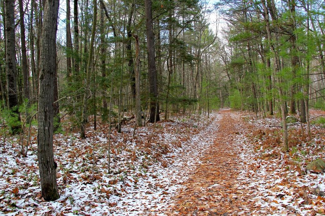 img_8354.jpg img_8354.jpg