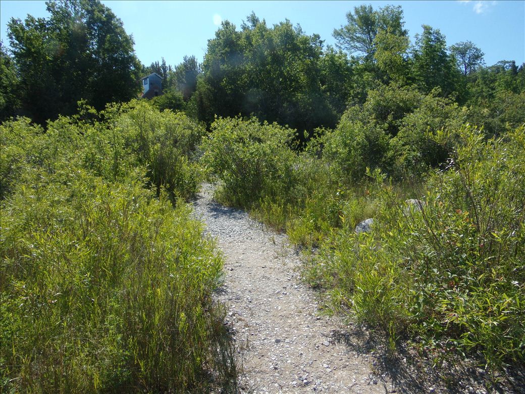 leelanau_state_park_8.jpg leelanau_state_park_8.jpg