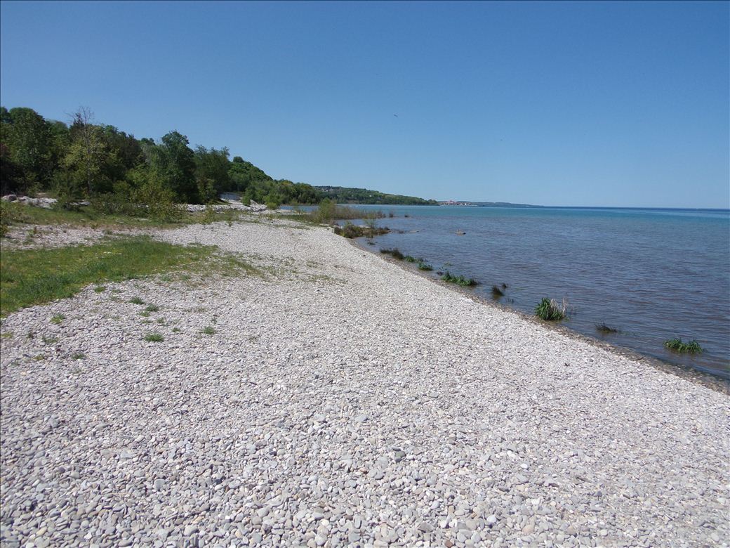 magnus_park_1.jpg magnus_park_1.jpg