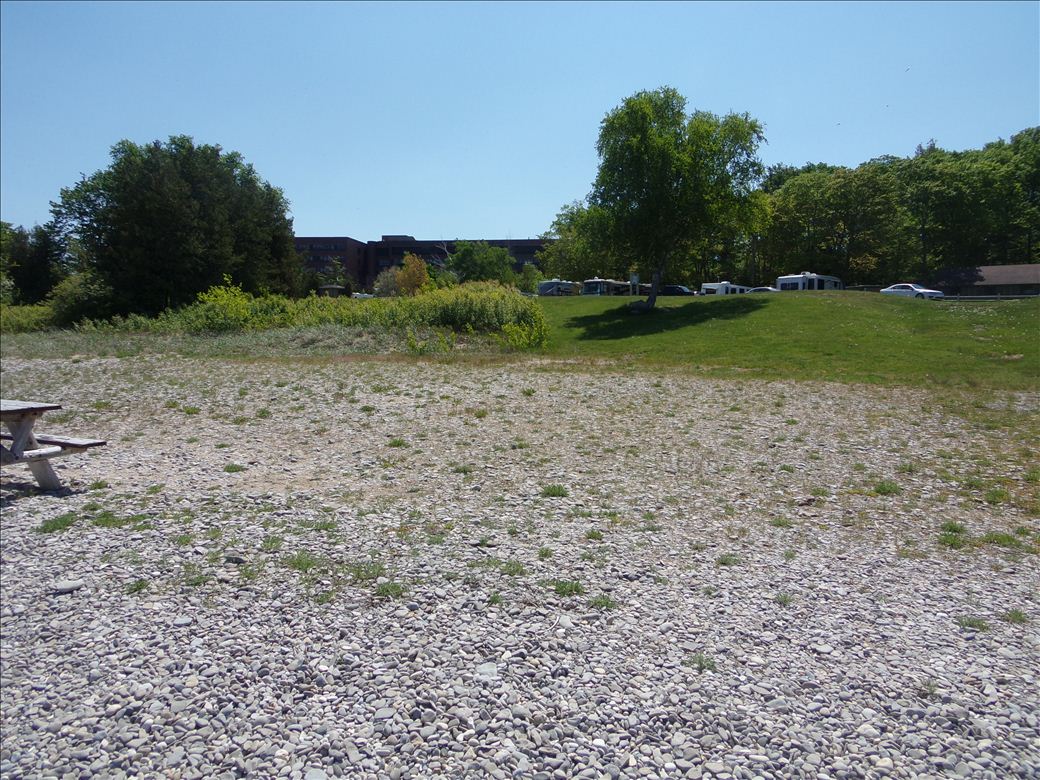 magnus_park_3.jpg magnus_park_3.jpg