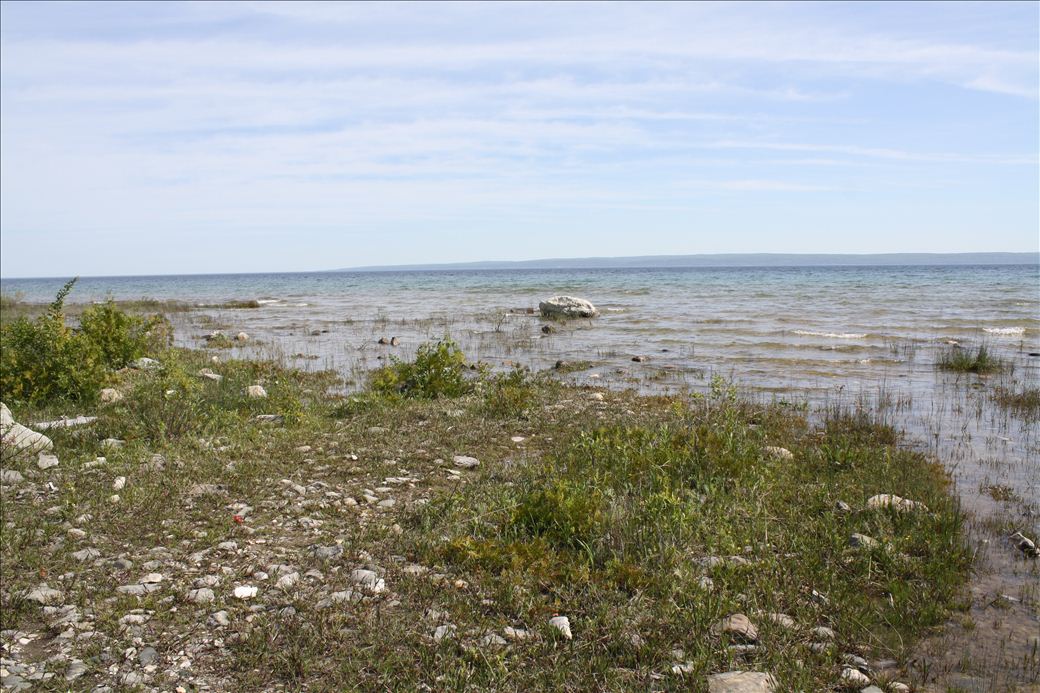 MDOT Rest Area North