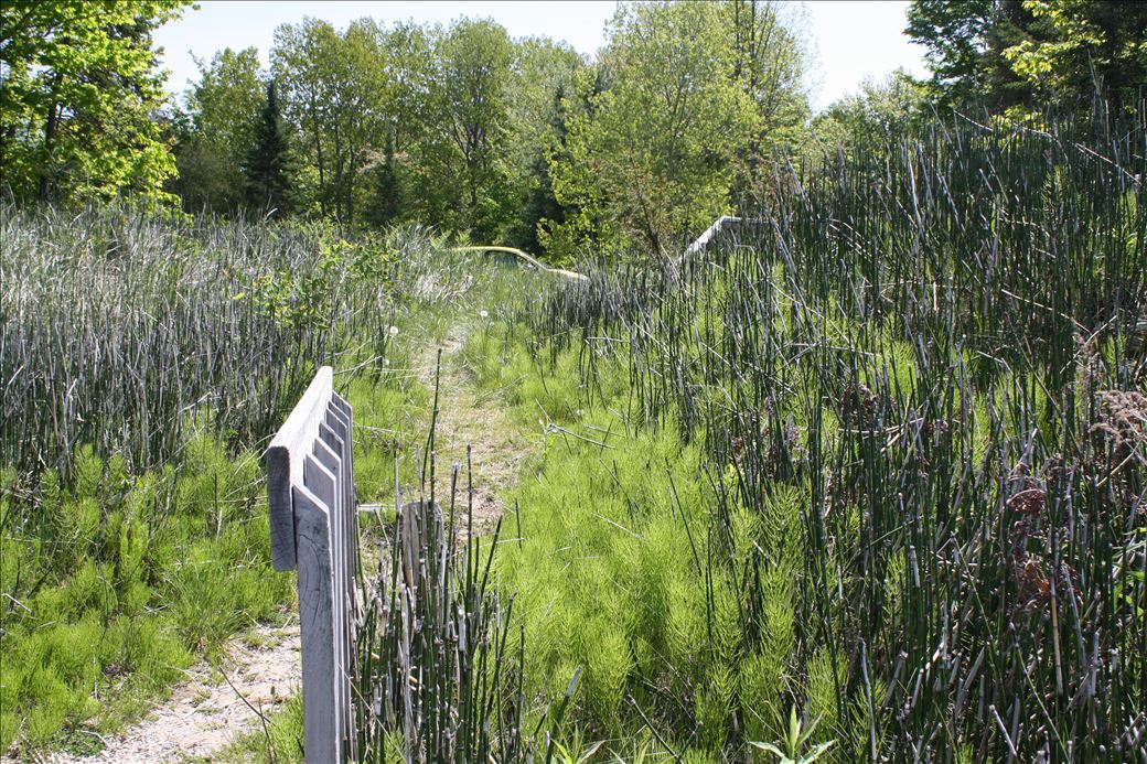 Michigan Trail road end