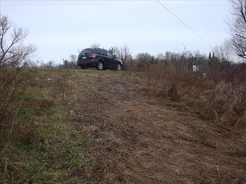 mouth_of_pigeon_2.jpg mouth_of_pigeon_2.jpg