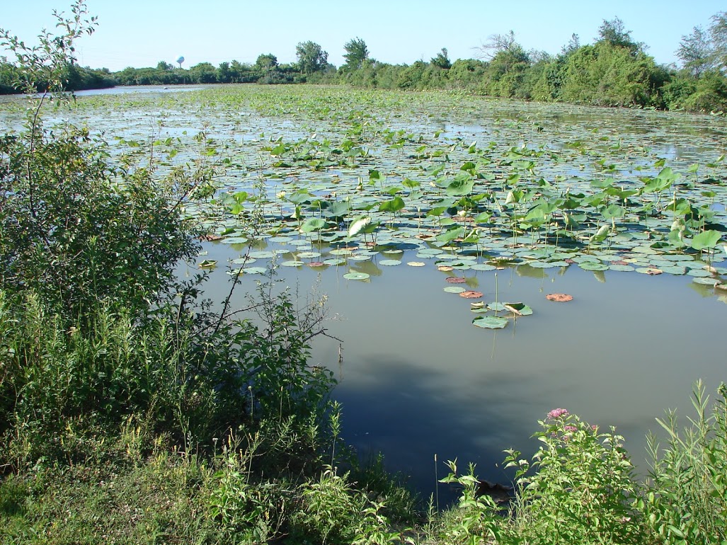 muddy_creek_pond_access.jpg muddy_creek_pond_access.jpg