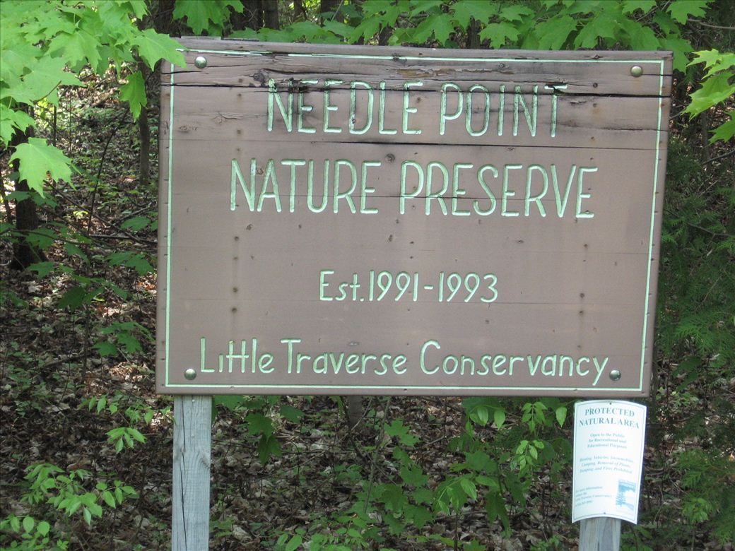 needlepoint_02.jpg needlepoint_02.jpg