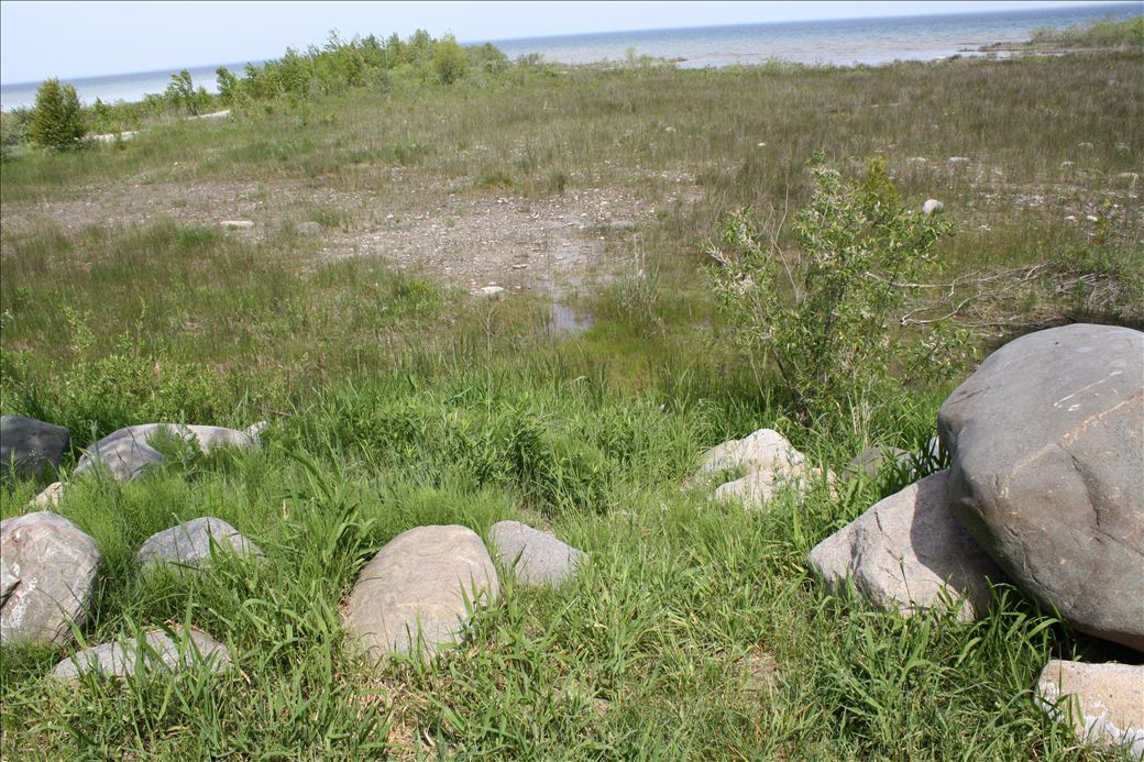 North Point Twp Park