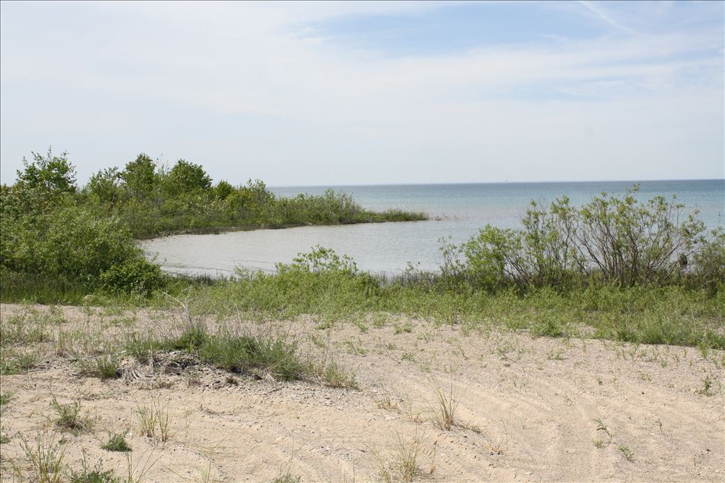 Norwood Township Park