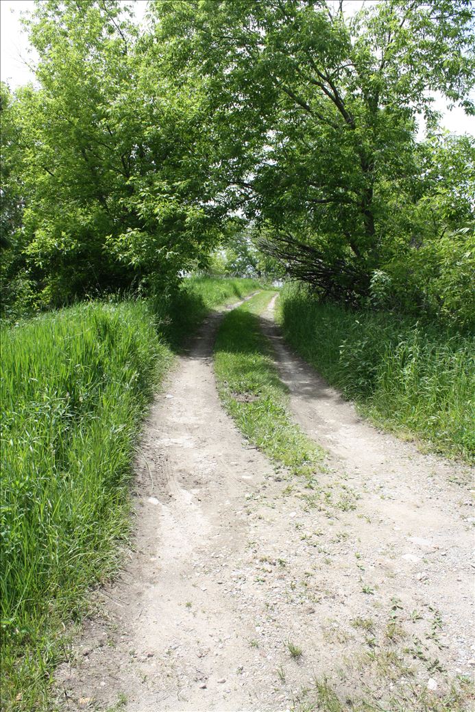 Norwood Township Park