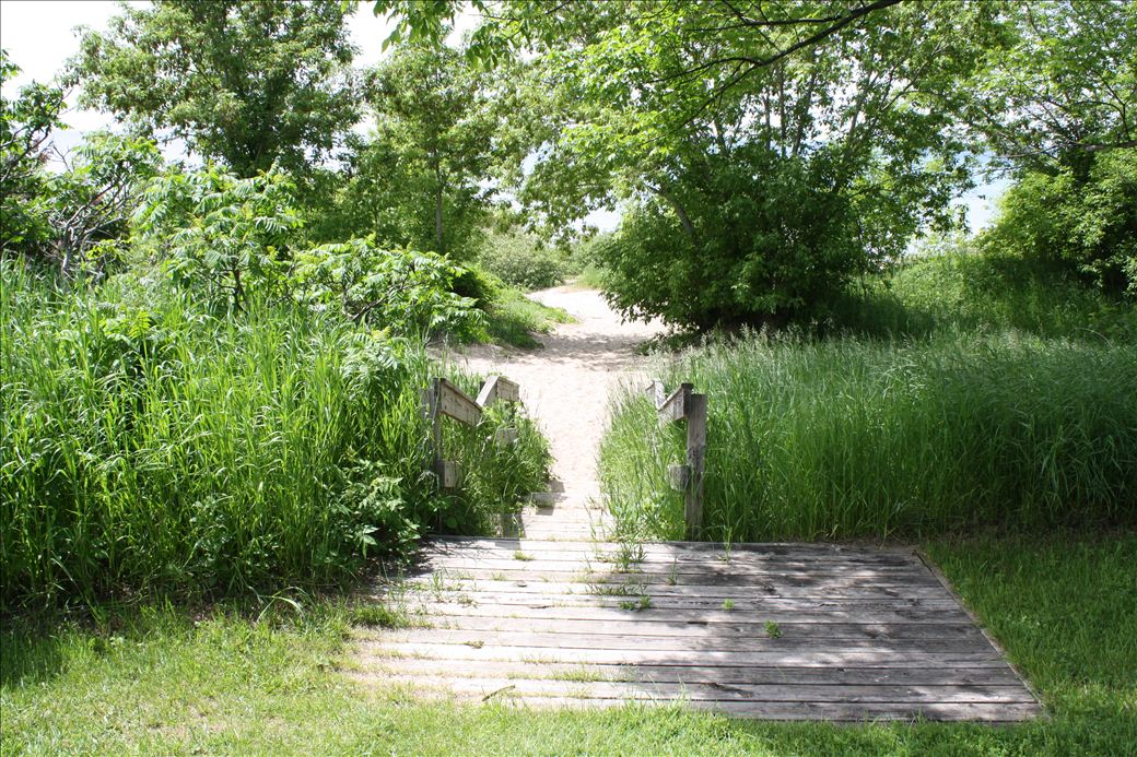 Norwood Township Park