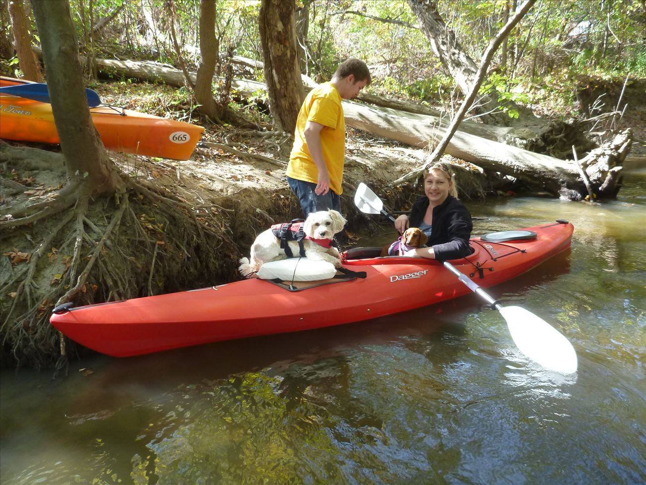 p1050061.jpg p1050061.jpg